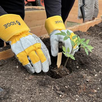 SDG&E Awards $1 Million to Environmental Champions Amplifying Support for Local Initiatives 