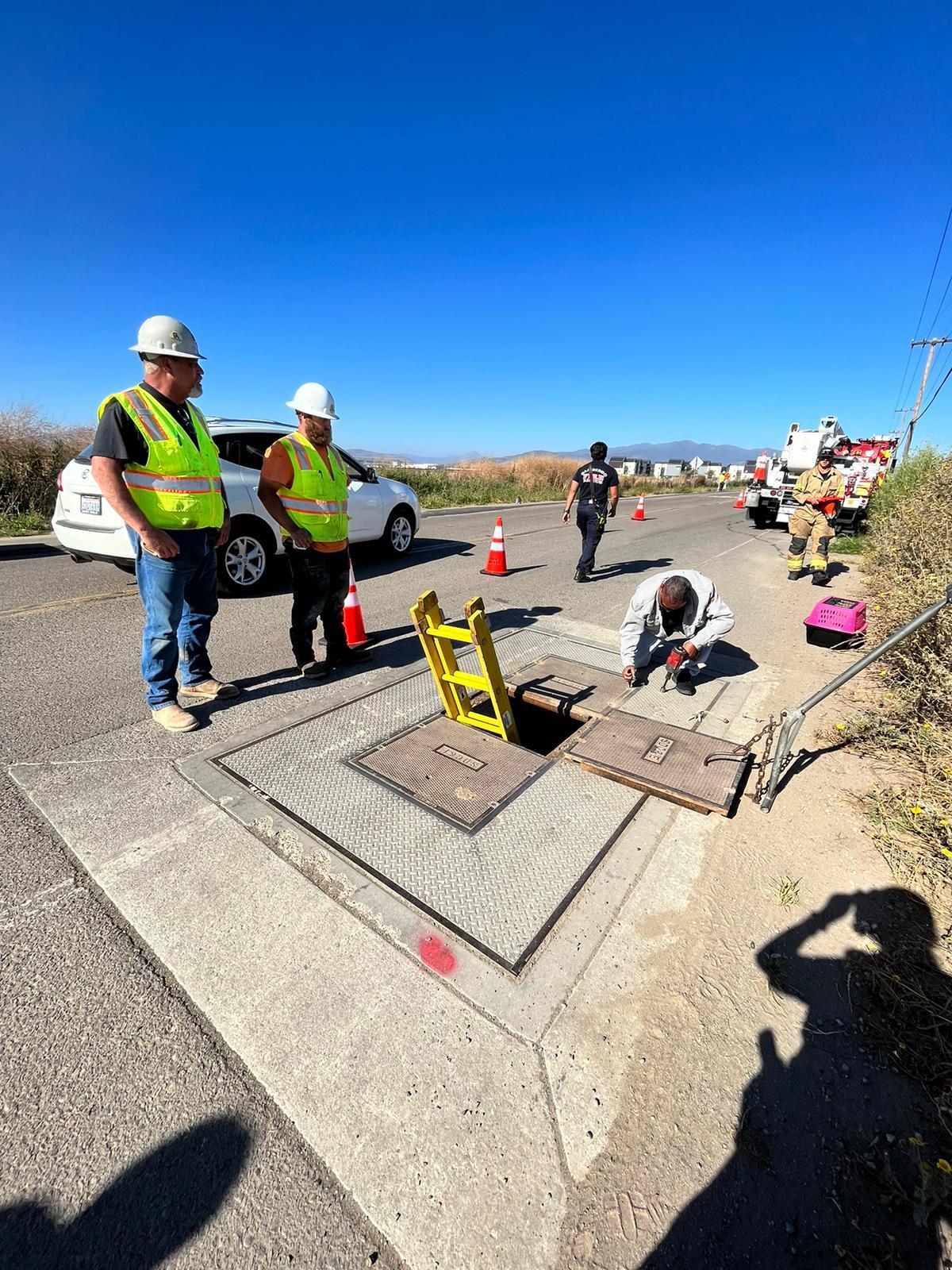 Troubleshooter Raleigh Nauta Teams Up with CAL FIRE to Rescue Trapped Kitten  #2