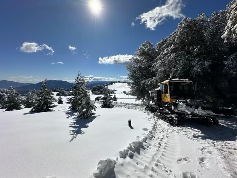 SDG&E snow cat traversing a snow-covered Volcan Mountain