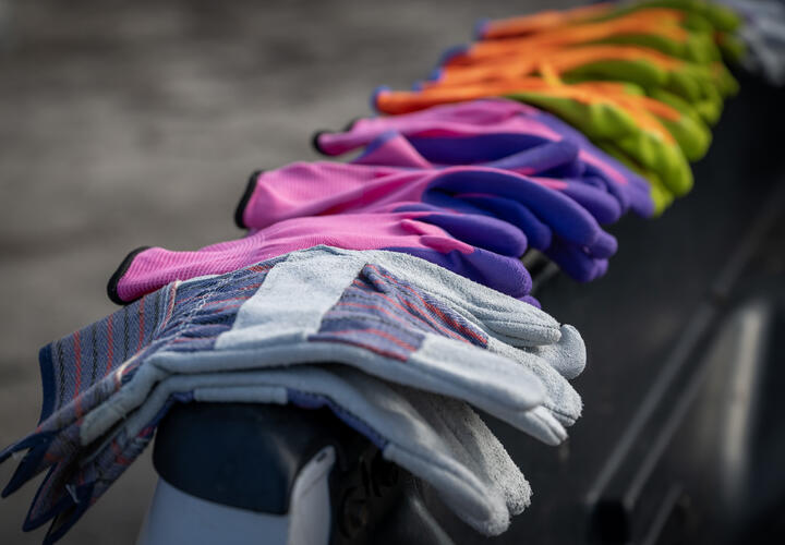 An assortment of colored gloves.