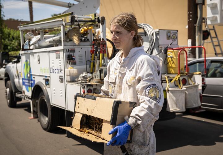 A woman, wearing a We Save Bees uniform carrying a box filled with bees.
