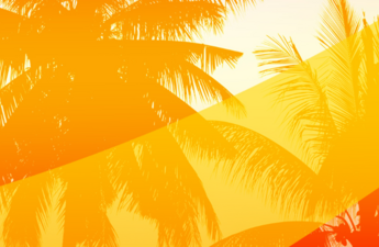 Graphic showing the tops of palm trees with orange, reds and yellow shading.