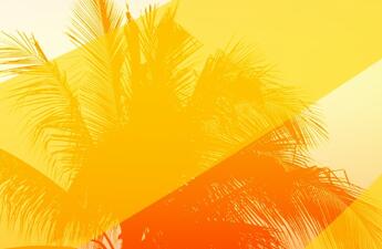 Graphic image of the top of a palm tree with yellow and various shades of orange