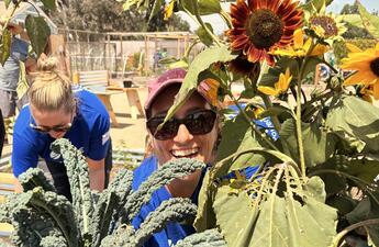 A smiling female volunteer pokes her head through garden greenery, with a vibrant sunflower positioned above her. 