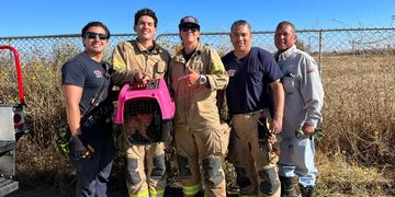 Troubleshooter Raleigh Nauta Teams Up with CAL FIRE to Rescue Trapped Kitten 