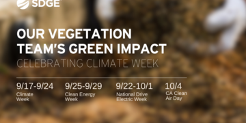 Climate Week: Our Vegetation Team's Green Impact