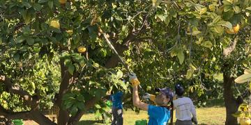 Environmental All-Stars Scale Up Efforts to Fight Food Insecurity  