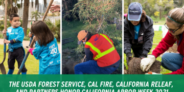   The USDA Forest Service, Cal Fire,  California Releaf, And Partners Honor California Arbor Week 2021