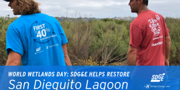 World Wetlands Day: SDG&E Helps Restore San Dieguito Lagoon 