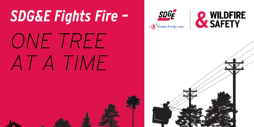 SDG&E Fights Fire: One Tree at a Time