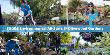 SDG&E Volunteers Assist with Expansion of Olivewood Gardens, Supporting Community Nutrition Education