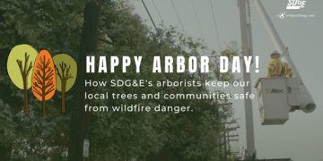 Arbor Day: SDG&E’s Arborists Work to Keep Local Trees and Communities Safe