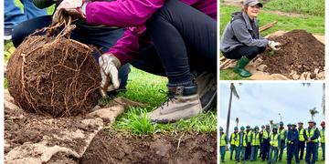 SDG&E Employees Help Plant Trees in Balboa Park 