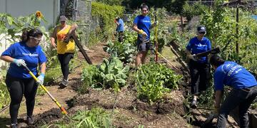 Volunteers participate in a Garden 31 project, surrounded by foliage and plants.